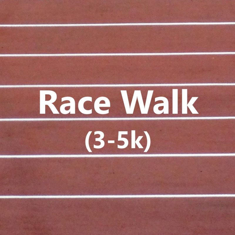 Race Analysis Track Analysis