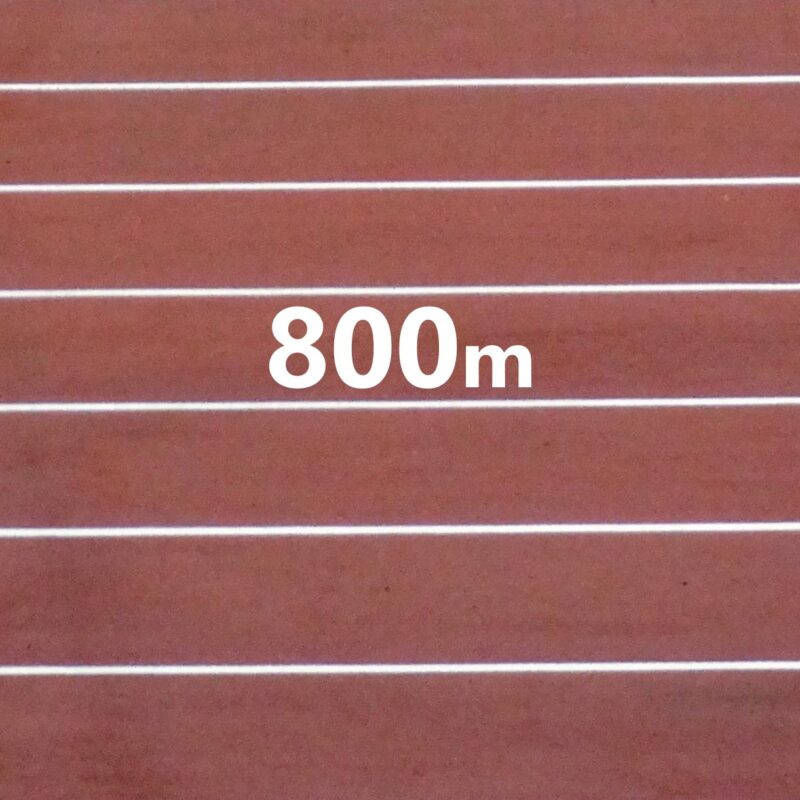 Race Analysis Track Analysis